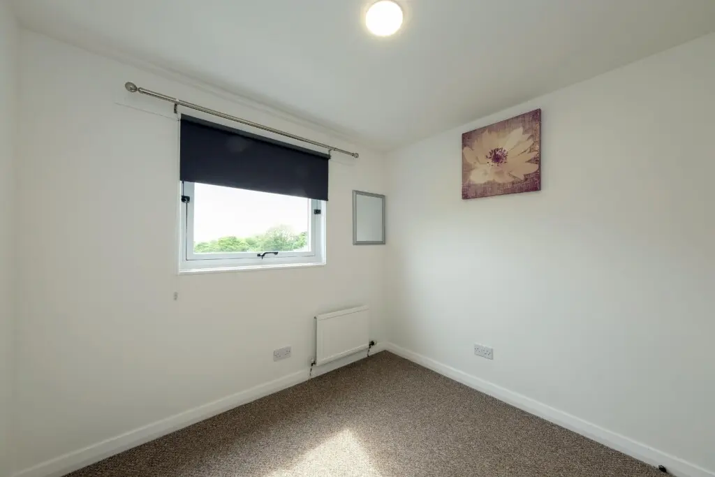 07486ce3 ffd1 434d 92ca 2ad5aab11194.jpg