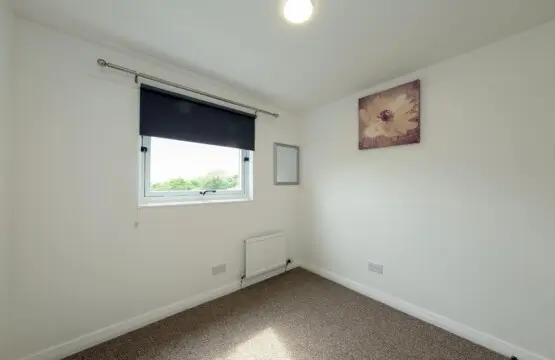 07486ce3 ffd1 434d 92ca 2ad5aab11194.jpg