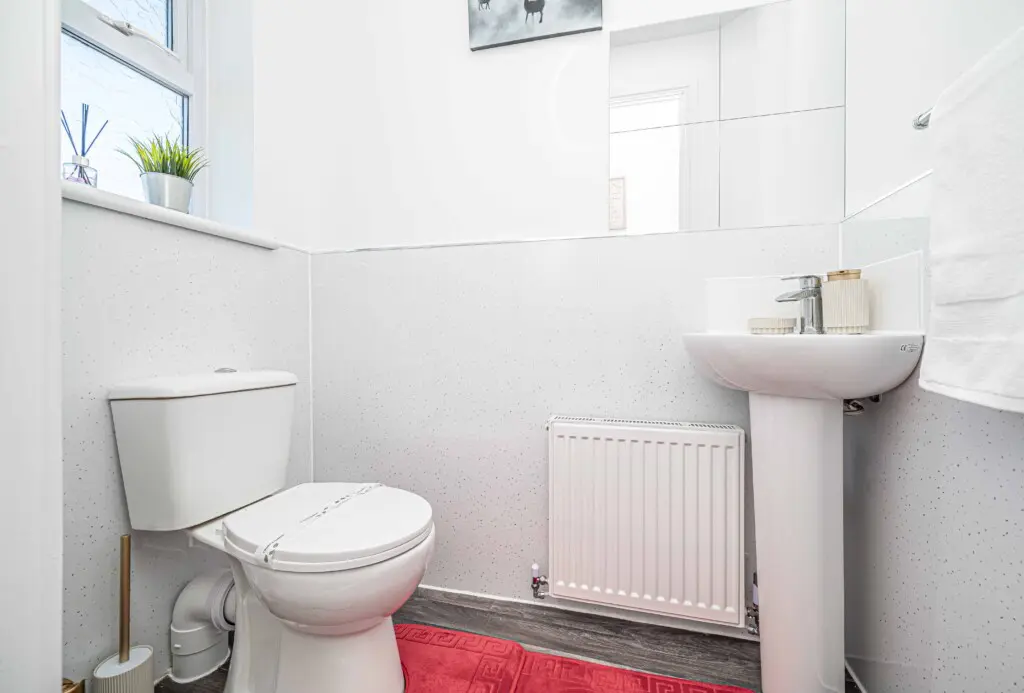 0be544b1 88ac 44a2 81cf 79588db554cd.jpg