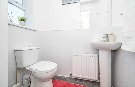 0be544b1 88ac 44a2 81cf 79588db554cd.jpg