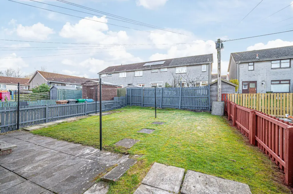 155ca788 5378 4024 bbd2 7ef2dc34a752.jpg