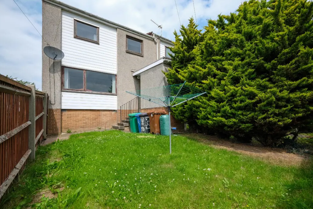 29ba6169 83ca 4ce9 908d 658a083d4447.jpg