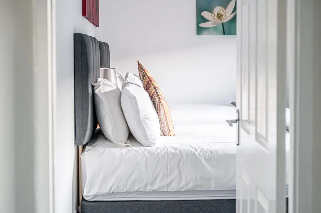 2aa9c73d d324 4edd 9b34 c292e439ee3d.jpg