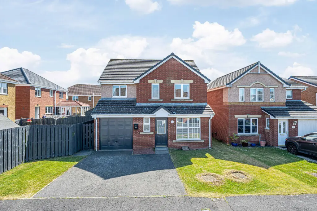 3e9c0754 c113 4d94 bb99 8ca7ce53f134.jpg