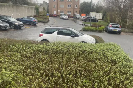 4a630582 831c 4698 952b 7ec4a2e43c58.jpg