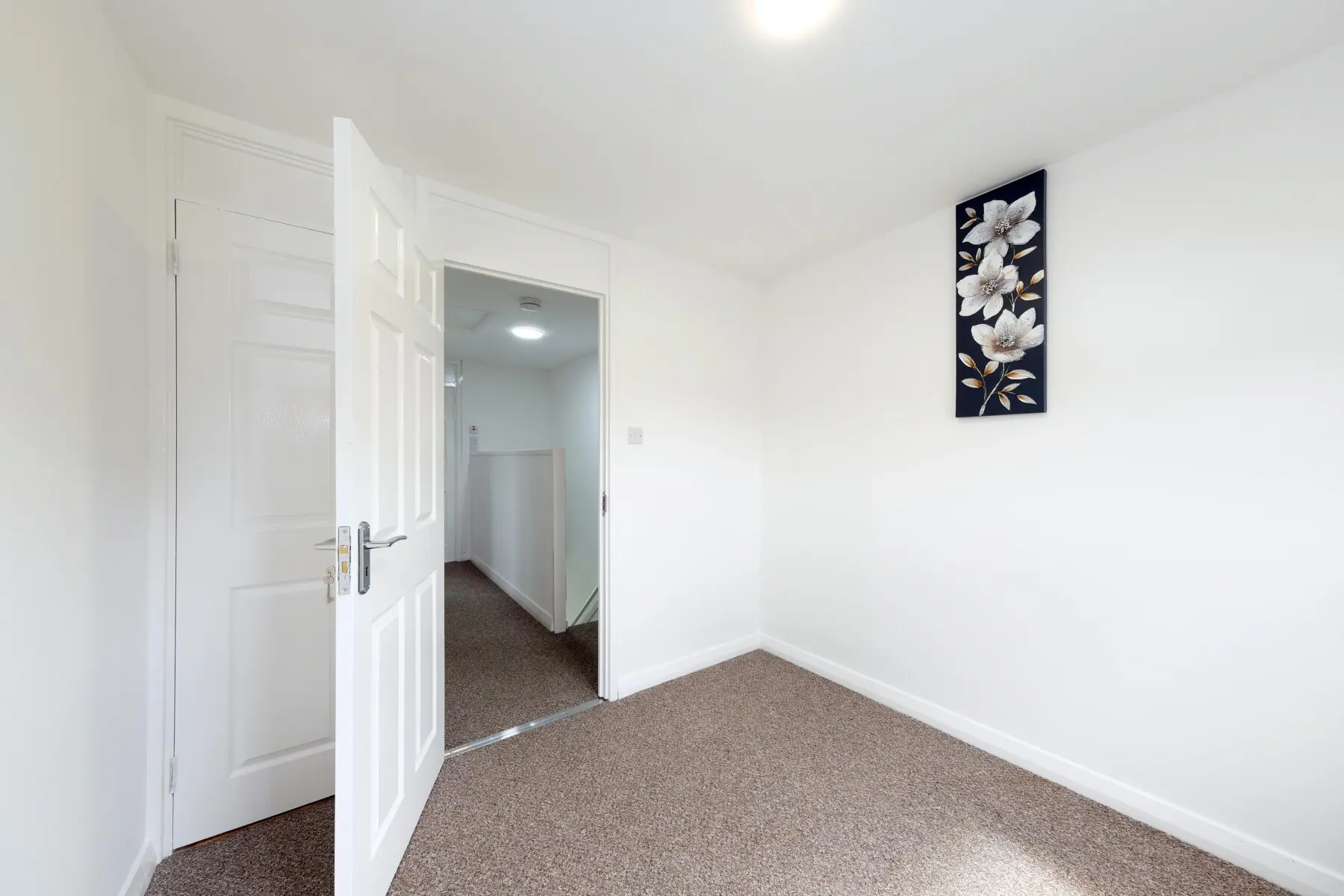 534e5235 d891 41ac ac10 dc9ee80eece1.jpg