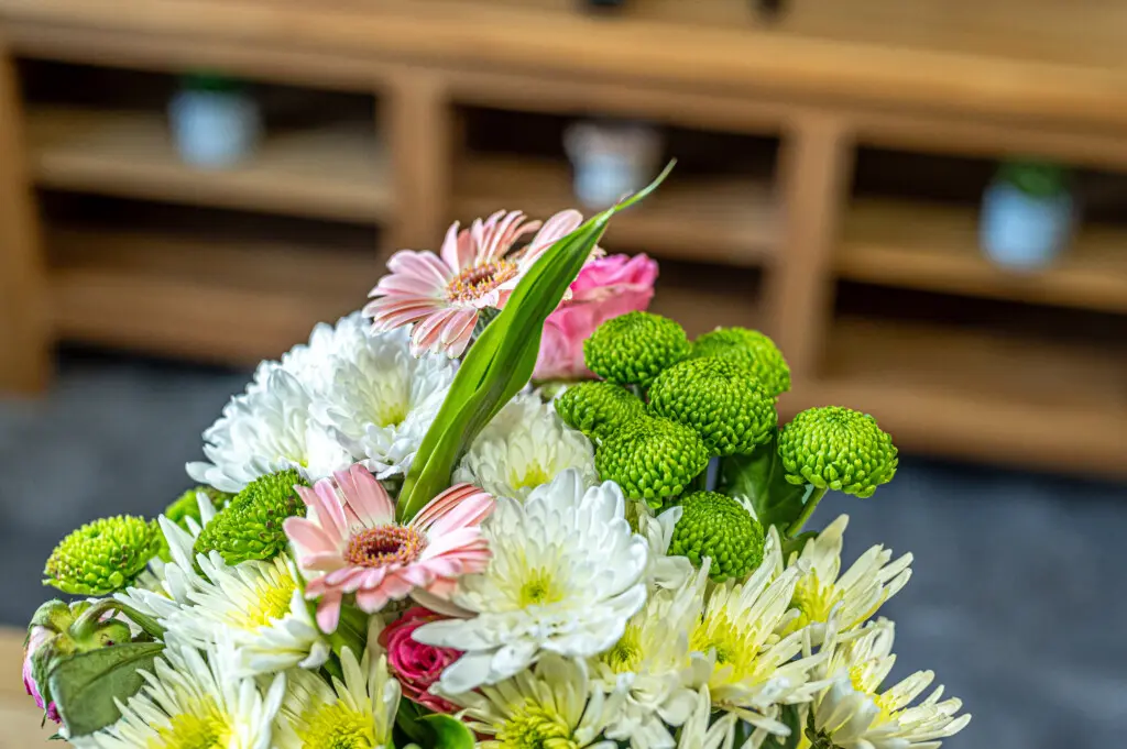 61181421 4935 4fd1 9a0e 678d9cca6a29.jpg