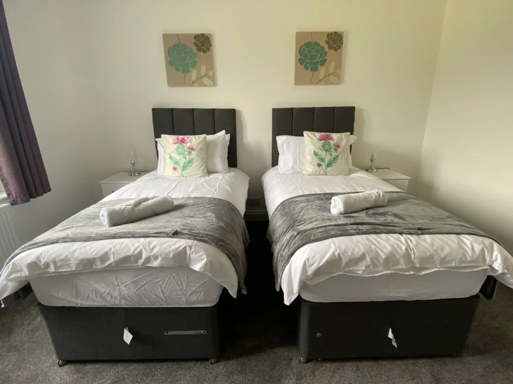 61e61fe6 7b43 486d b79e e7902a4b64ef.jpg