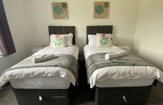 61e61fe6 7b43 486d b79e e7902a4b64ef.jpg