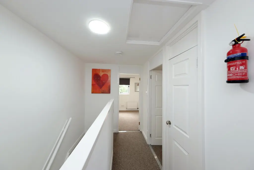 74981ae1 e342 4a13 94f3 fccd10f9f9c5.jpg