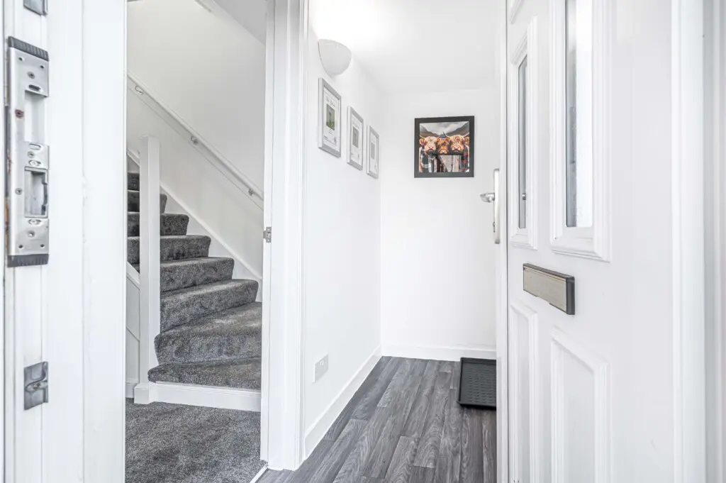 7eabed8b 12d5 47a4 beae 1b87f2e55038.jpg