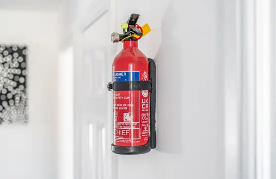 923cd0dd 03c4 4bde 847d e9ff1e4daf5d.jpg