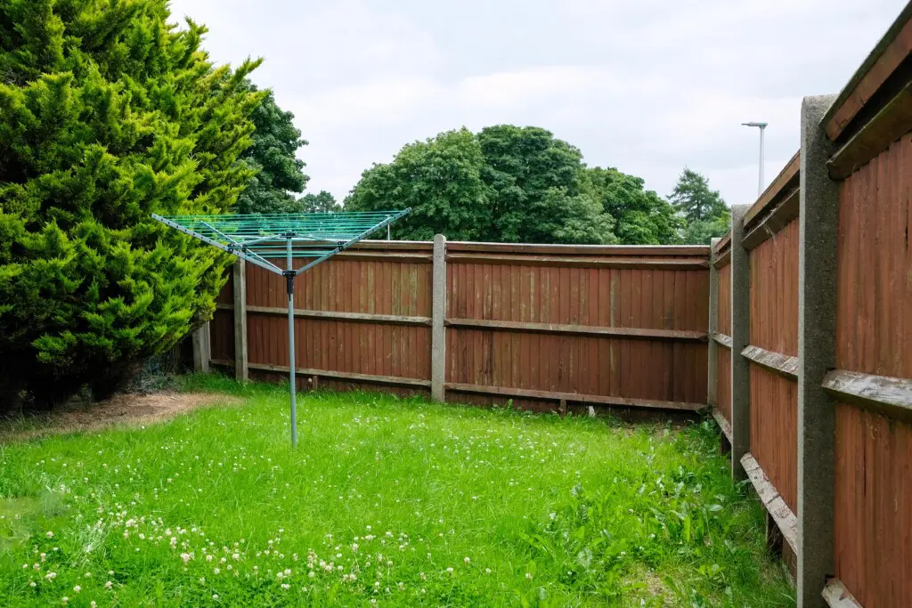 9375411d fcaa 4a2f 8339 e85fc4844f69.jpg