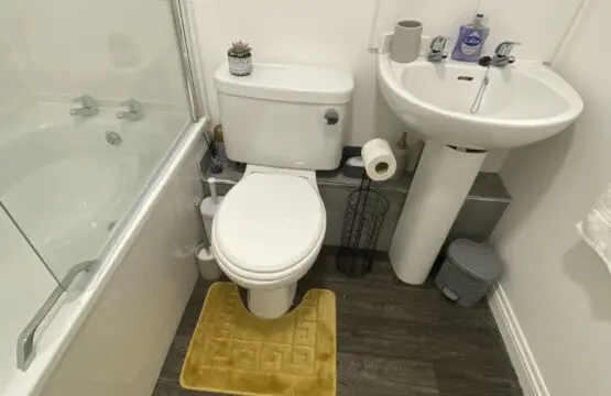 a3b857e9 c8e7 4e25 b42d 0d7882b3903f.jpg