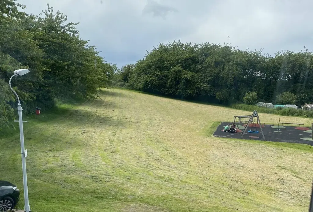 e72c0c40 e968 41c2 a39e 152e018a7b4c.jpg