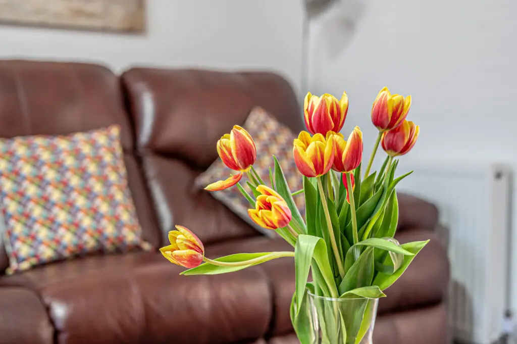 e79be1ea f912 4c65 92f0 a1f1731f2fb8.jpg