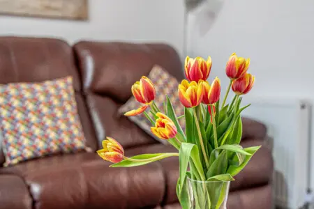 e79be1ea f912 4c65 92f0 a1f1731f2fb8.jpg