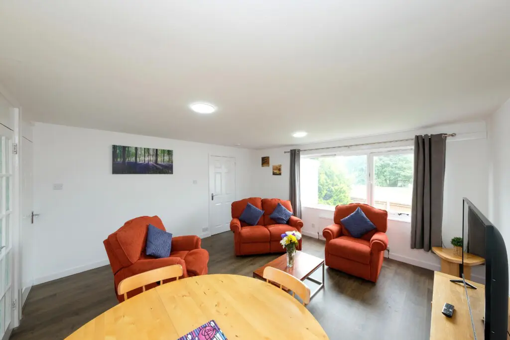 f87566f1 36ce 4142 8cb0 de2f122106dd.jpg