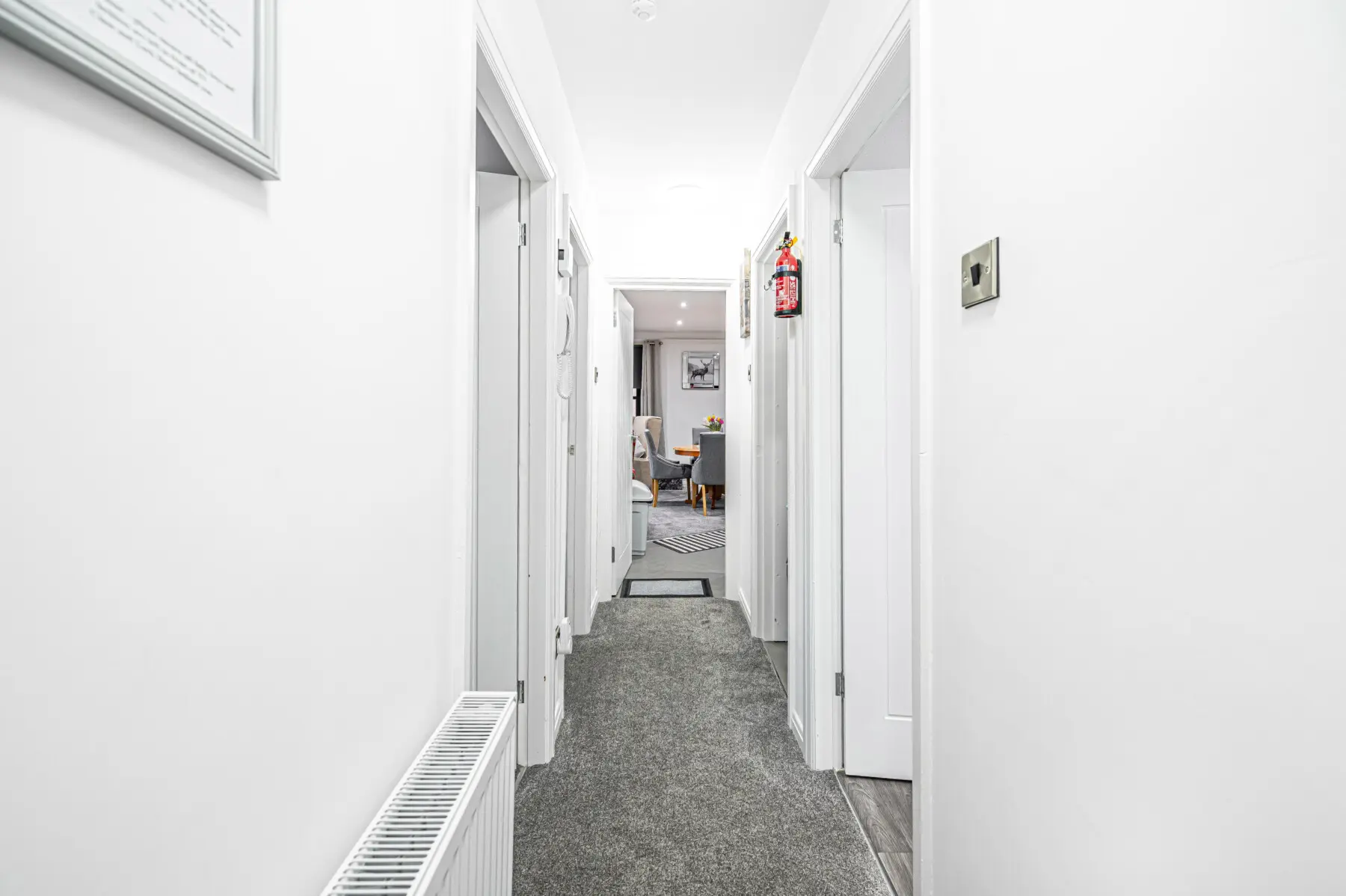 0017b364 ee02 4340 846b 3398a902d6d7.jpg