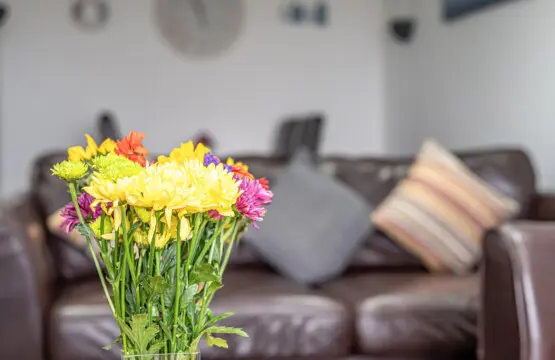 3740c71e d84c 44b5 aa0b 963757b42d36.jpg