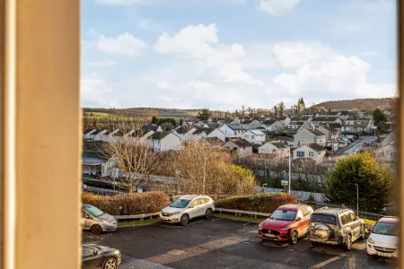 cce09ba2 75f1 4a28 8d4a 6b07c139b5ef.jpg