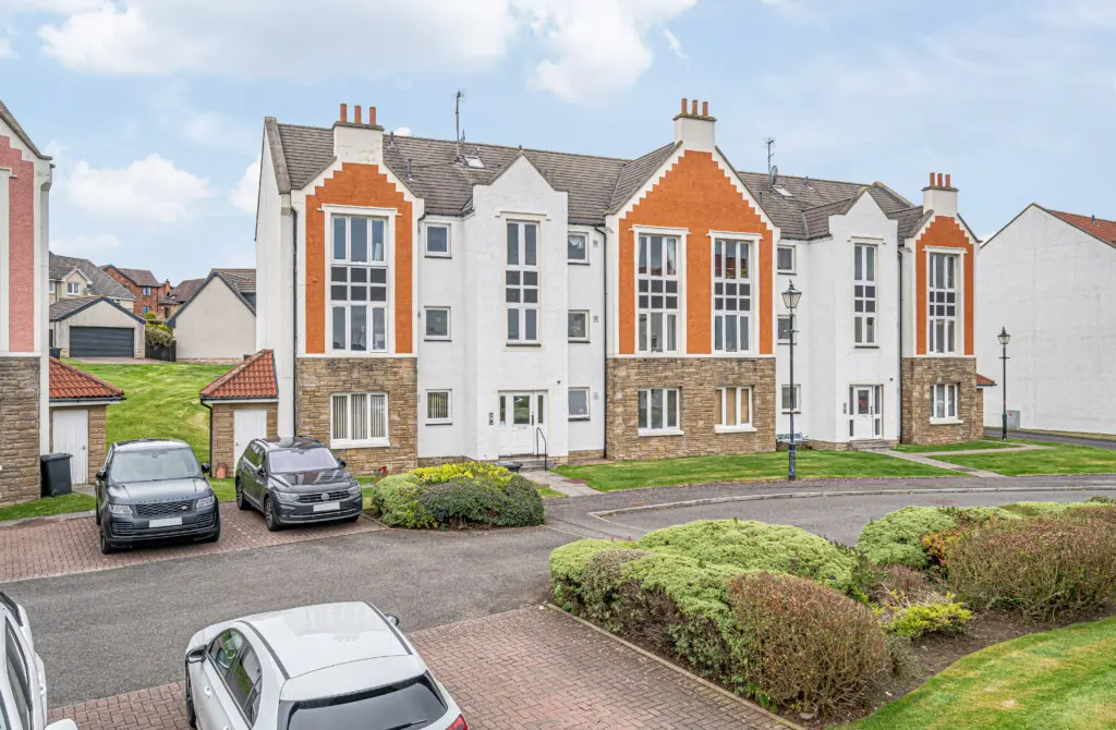 d3afce20 17b9 4f28 ba64 2f1f829b39cc.jpg