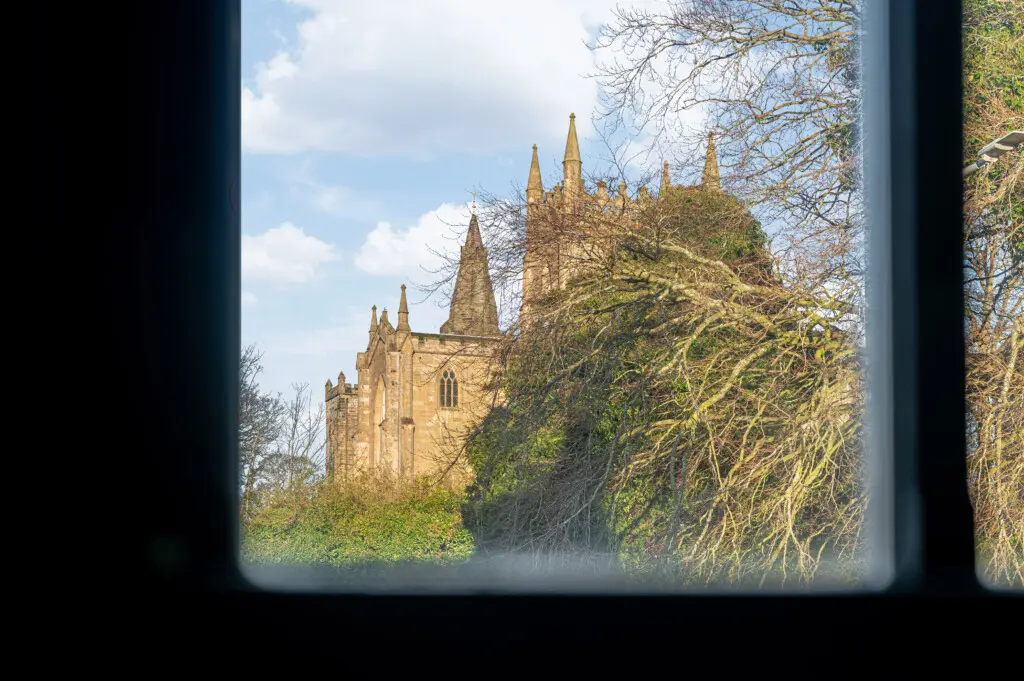 e8873436 78b3 4d80 8607 9711a422421f.jpg