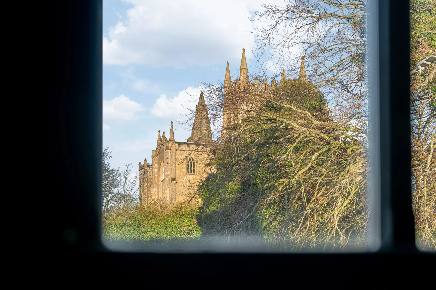 e8873436 78b3 4d80 8607 9711a422421f.jpg