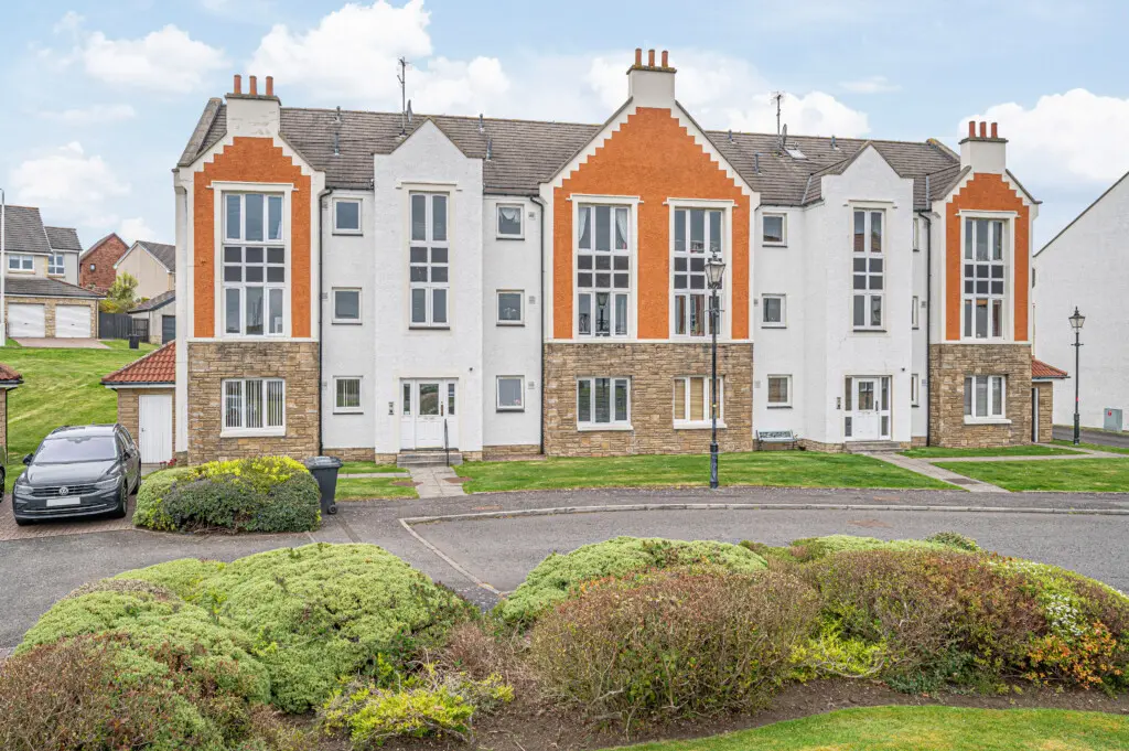 f4beb43e 6c40 4e02 a4c1 eca7aa44106e.jpg